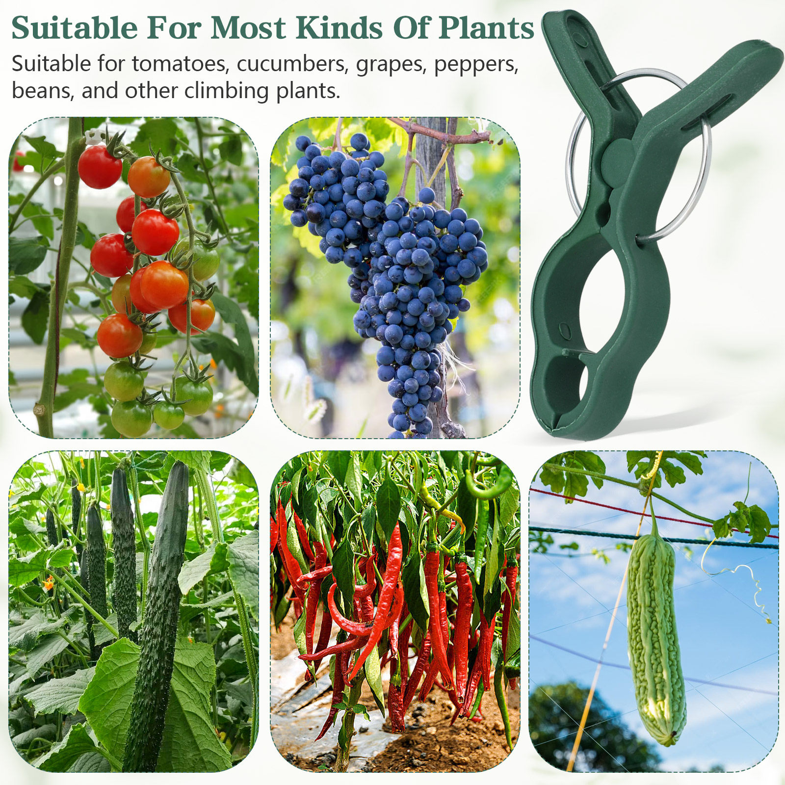 50Pcs Plant Vine Support Clips - Vine Climbing Plastic ulasan dan harga