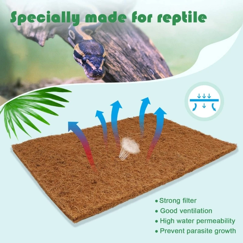 Pack Of 4 Natural Coconut Fibe - Substrate Coconut Fiber ulasan dan harga