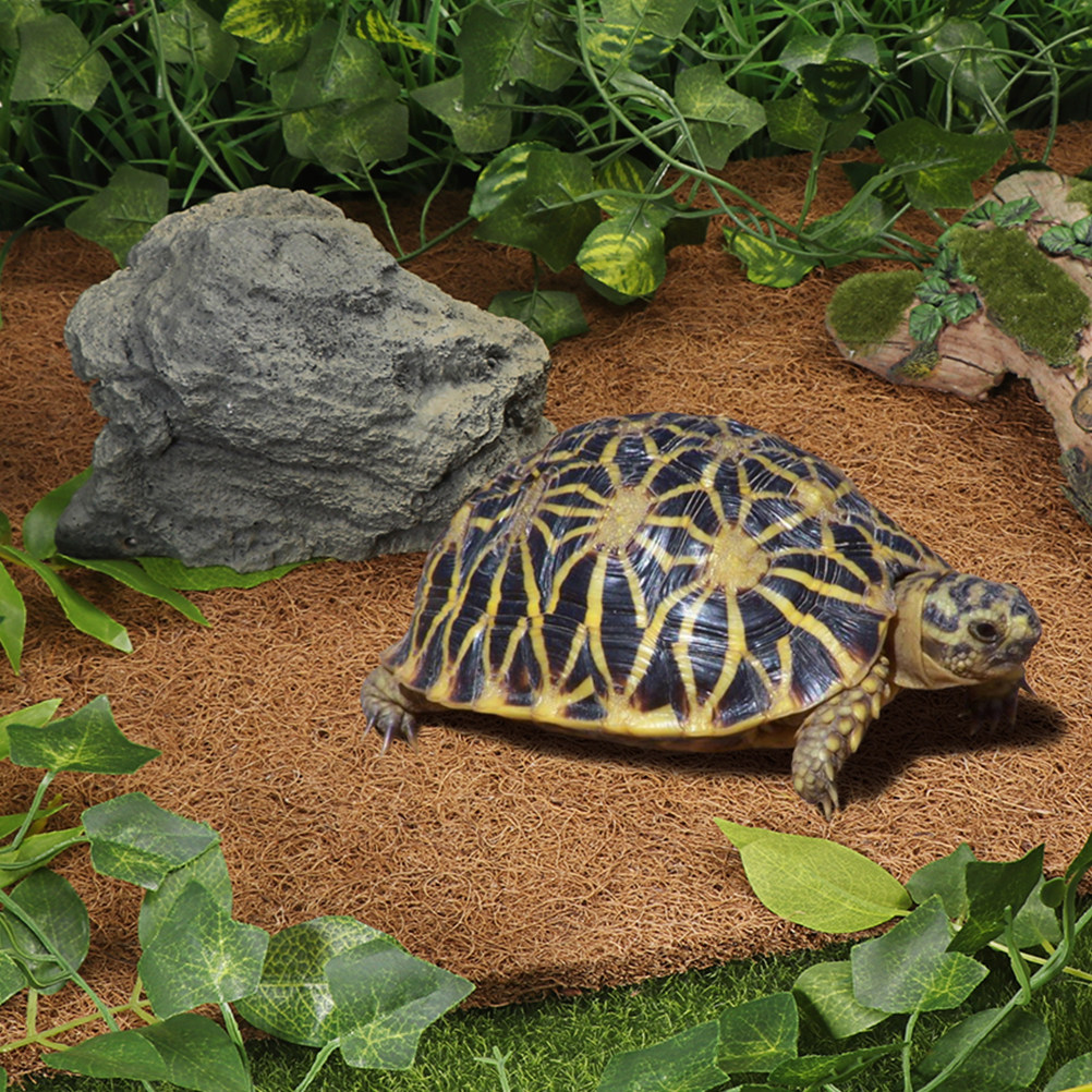 Coconut Fiber Reptile Mat Non- - Substrate Coconut Fiber ulasan dan harga