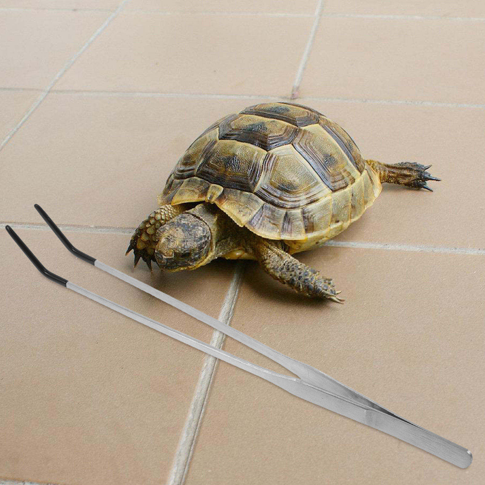 2Pcs Stainless Steel Feeding T - Feeding Tong Stainless ulasan dan harga