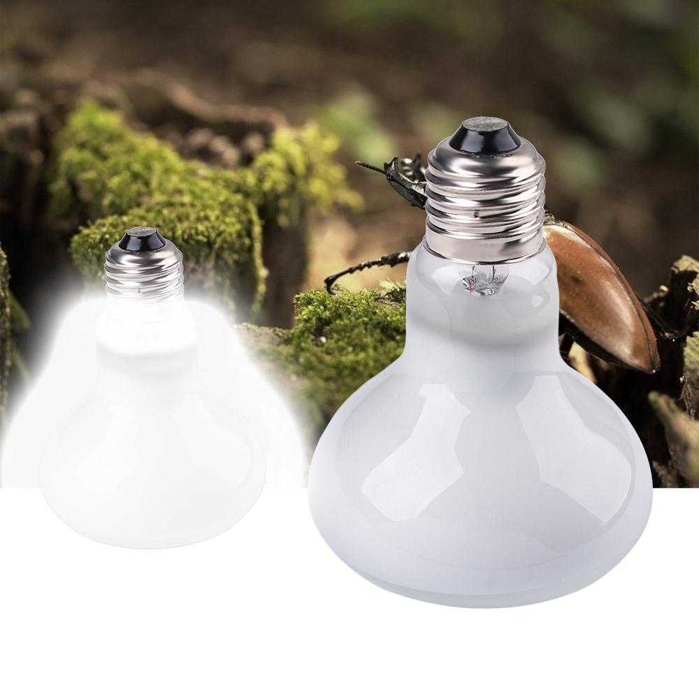 Amphibians Heater Temperature  - Basking Bulb Halogen ulasan dan harga