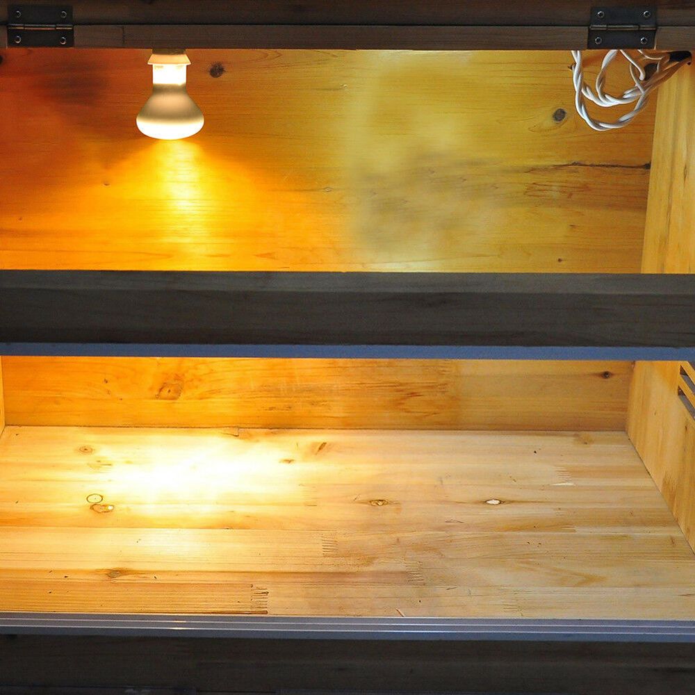 Amphibians Heater Temperature  - Basking Bulb Halogen ulasan dan harga