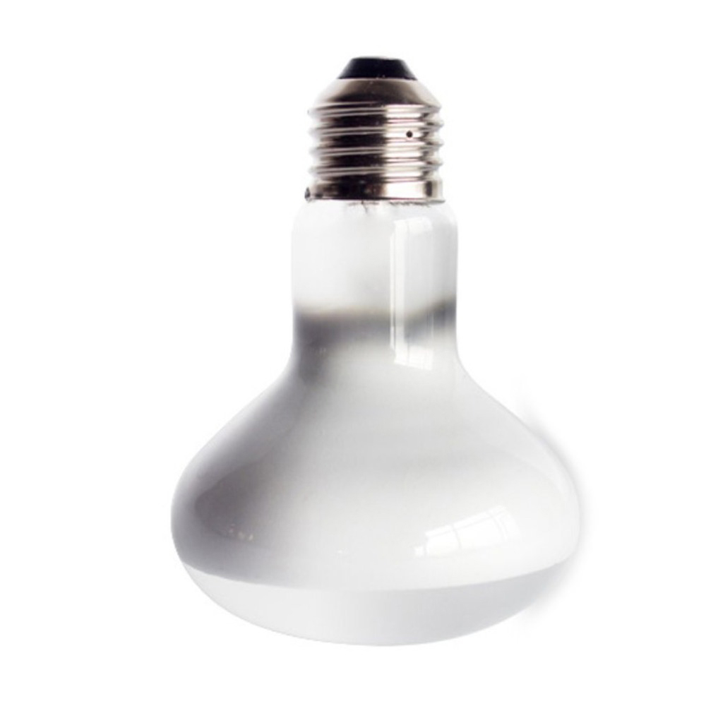 Amphibians Heater Temperature  - Basking Bulb Halogen ulasan dan harga