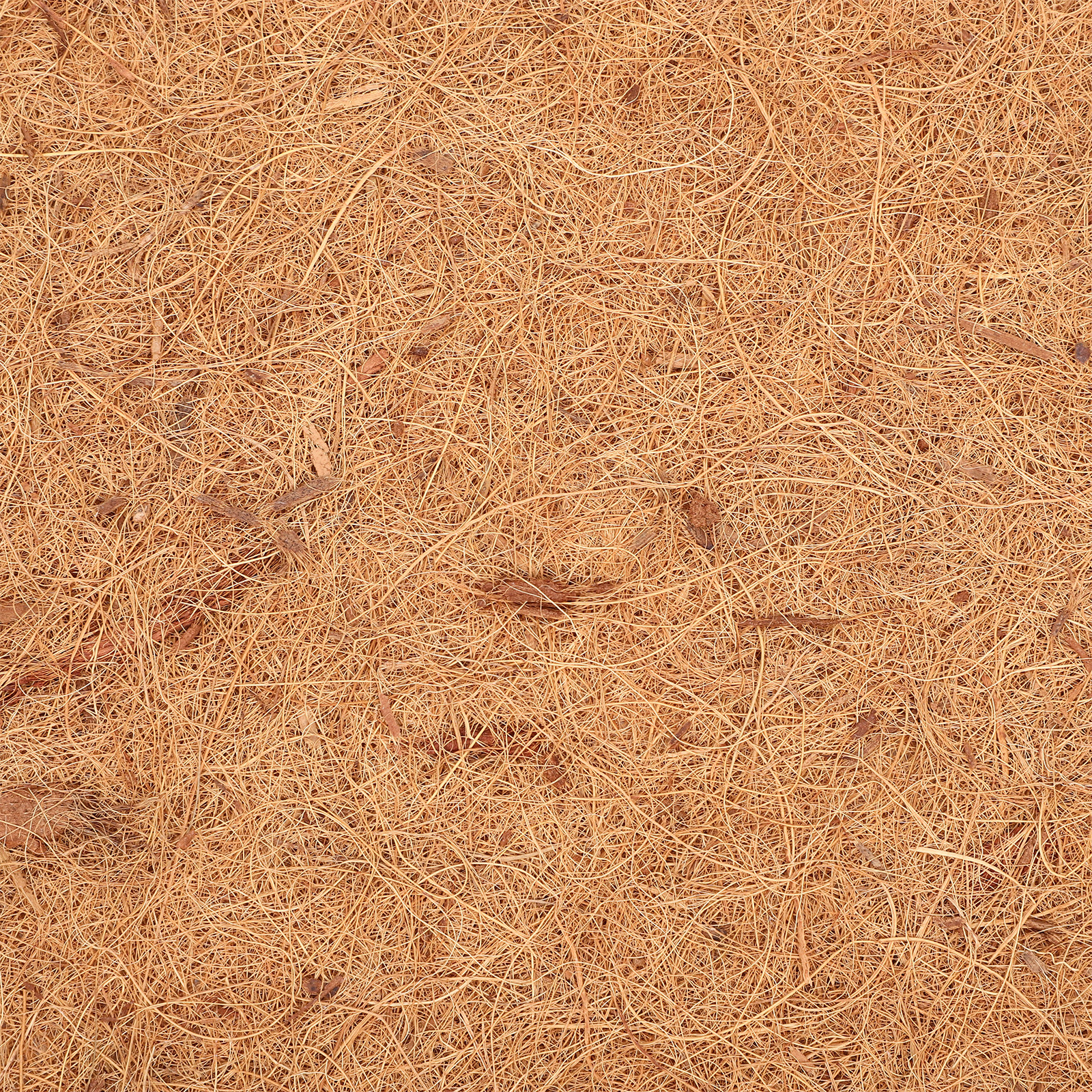 Coconut Fiber Reptile Carpet M - Substrate Coconut Fiber ulasan dan harga
