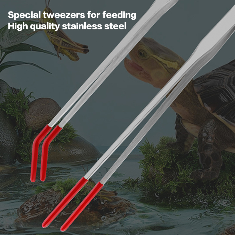 Stainless Steel Reptile With R - Feeding Tong Stainless ulasan dan harga