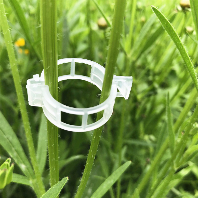 100pcs Clear Plastic Plant Cli - Vine Climbing Plastic ulasan dan harga