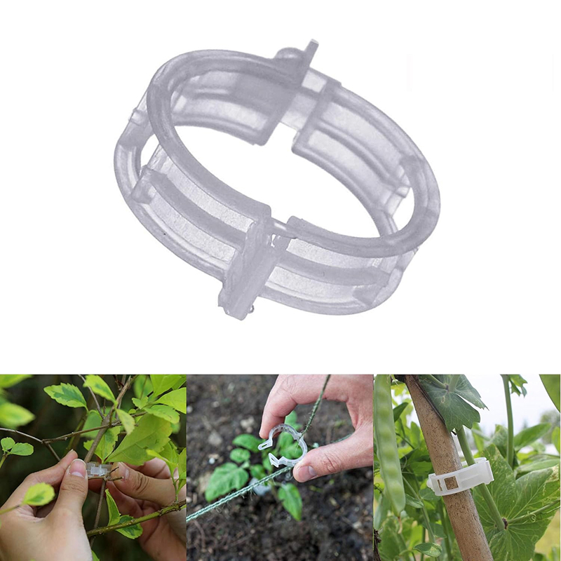 100pcs Clear Plastic Plant Cli - Vine Climbing Plastic ulasan dan harga