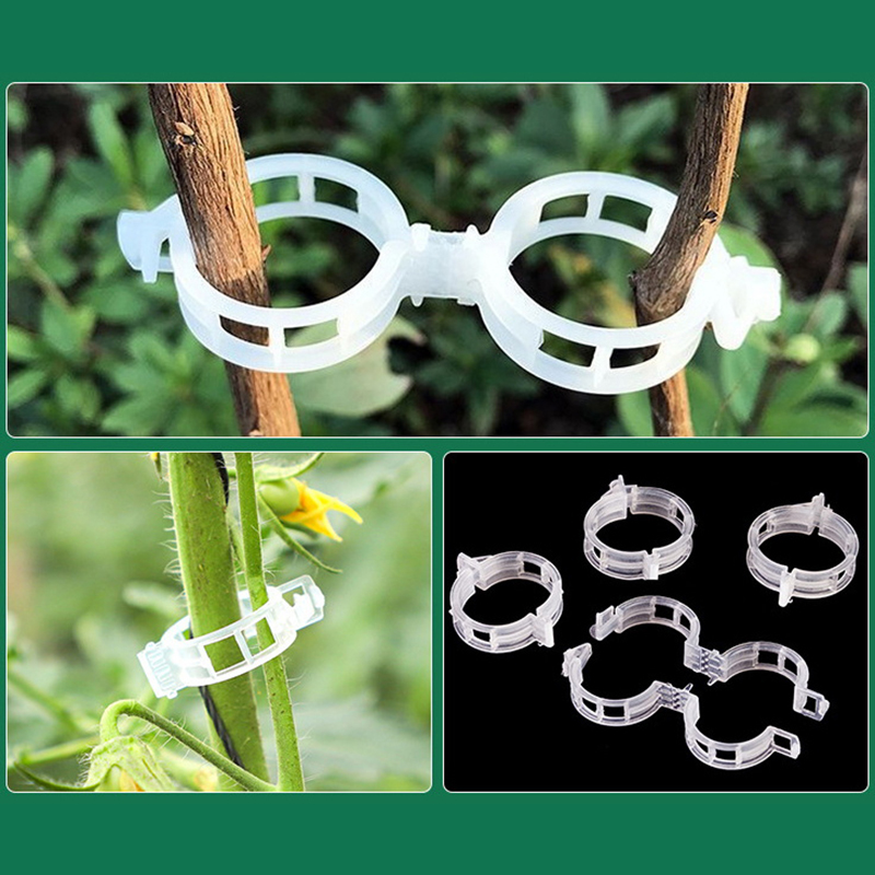 100pcs Clear Plastic Plant Cli - Vine Climbing Plastic ulasan dan harga