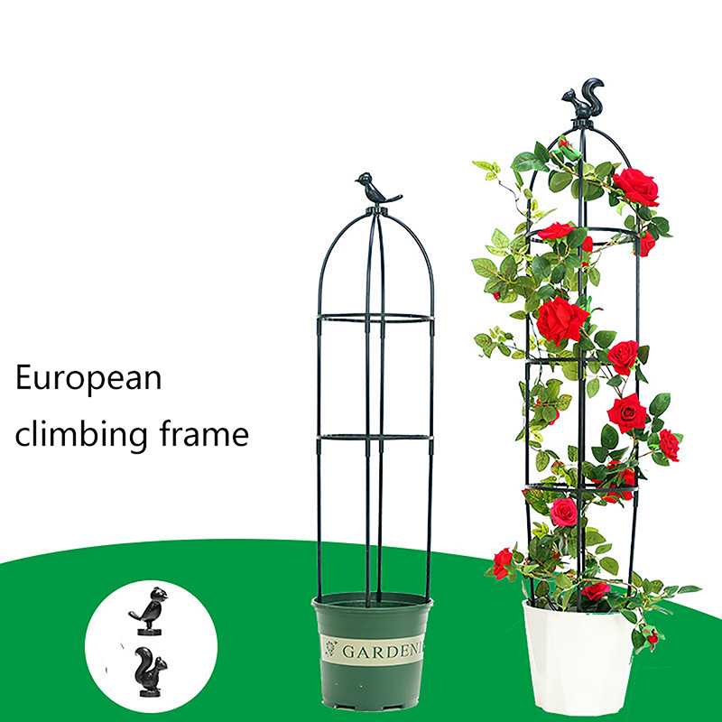 New DIY Flower Vine Climbing P - Vine Climbing Plastic ulasan dan harga