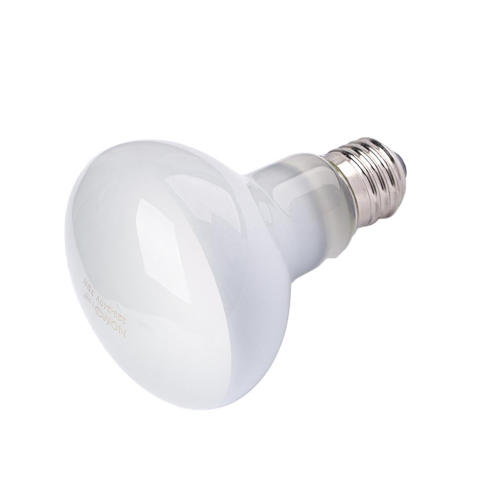 Amphibians Heater Heat Lamp UV - Basking Bulb Halogen ulasan dan harga