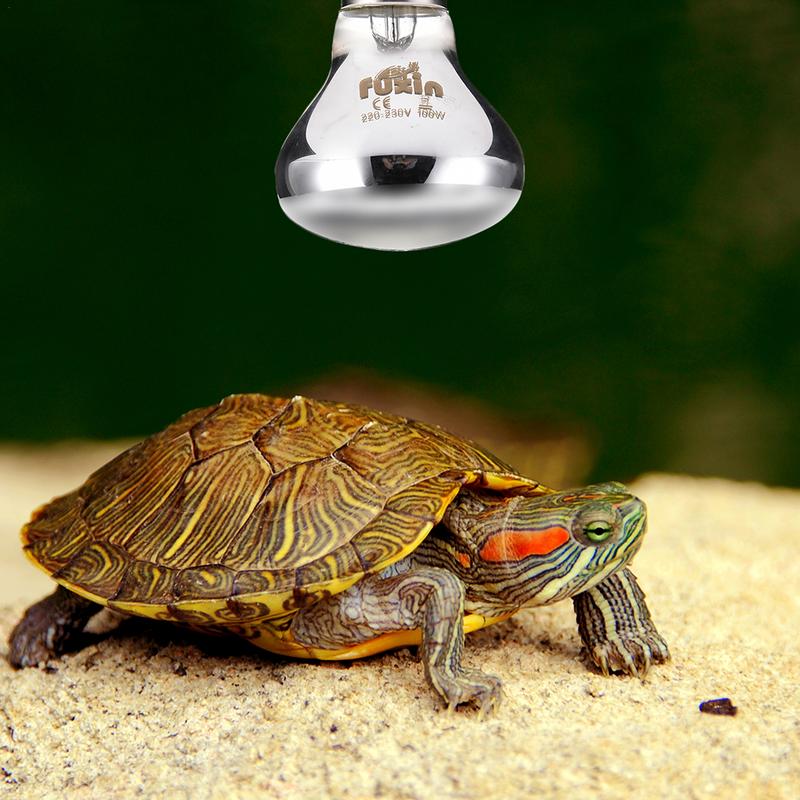 Pet Heating Lamp E27 Day Night - Ceramic Heat Emitter ulasan dan harga