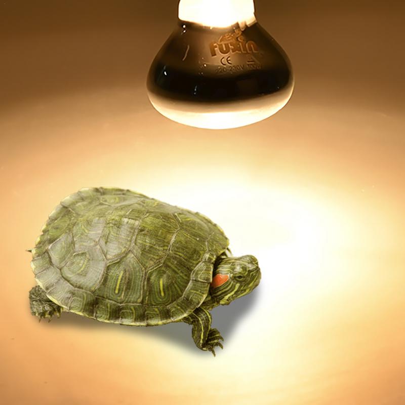 Pet Heating Lamp E27 Day Night - Ceramic Heat Emitter ulasan dan harga