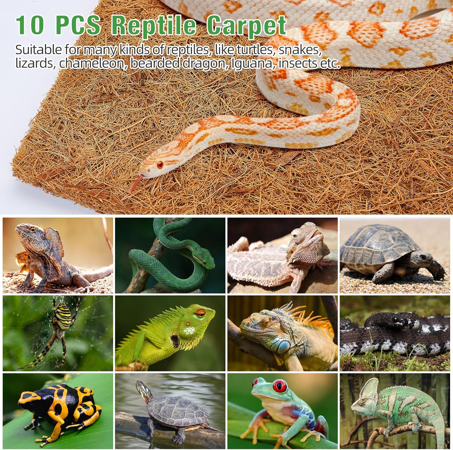 10 Pcs Reptile Carpet, 12x12 i - Substrate Coconut Fiber ulasan dan harga