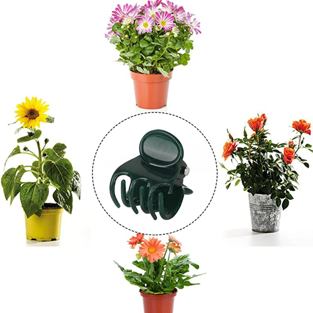 Phalaenopsis Orchid Support Cl - Vine Climbing Plastic ulasan dan harga