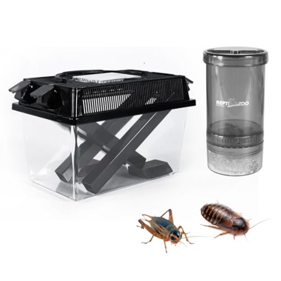 【Spot goods】Reptile Cricket Ke - Calcium Powder Reptile ulasan dan harga