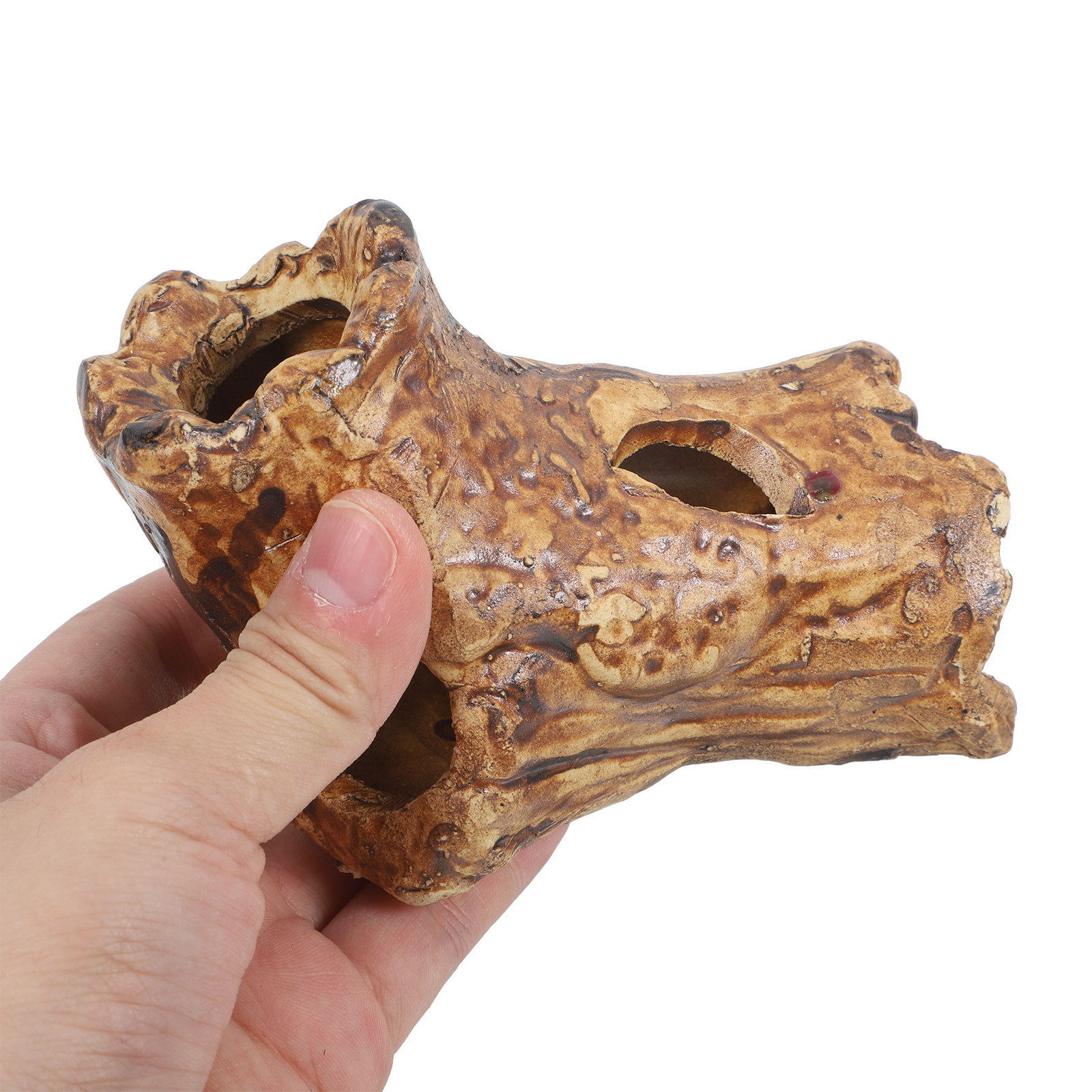 Premium Ceramic Aquarium Hides - Hide Cave Ceramic ulasan dan harga