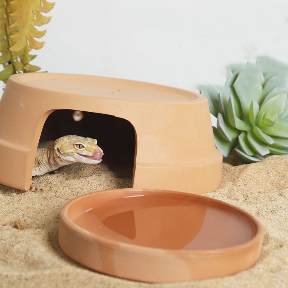 Multifunctional Ceramics Repti - Hide Cave Ceramic ulasan dan harga