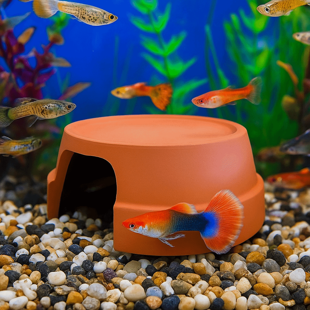 Multifunctional Ceramics Repti - Hide Cave Ceramic ulasan dan harga