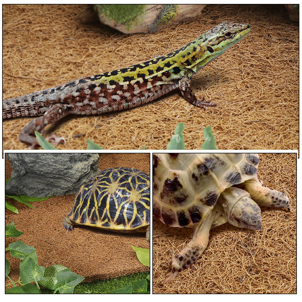 Reptile Carpet Natural Coconut - Substrate Coconut Fiber ulasan dan harga