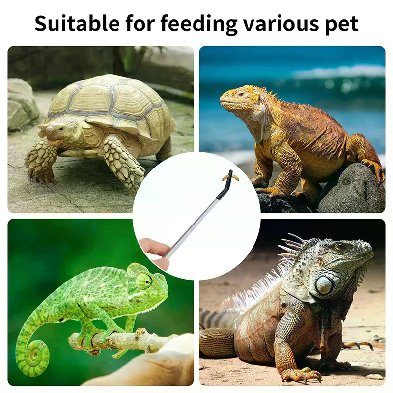 Straight and Curved Aquarium T - Feeding Tong Stainless ulasan dan harga