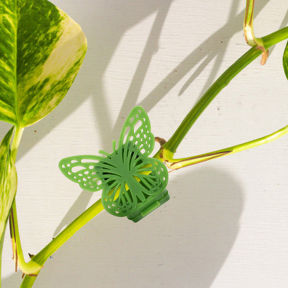 20Pcs Plastic Trellis Clips fo - Vine Climbing Plastic ulasan dan harga