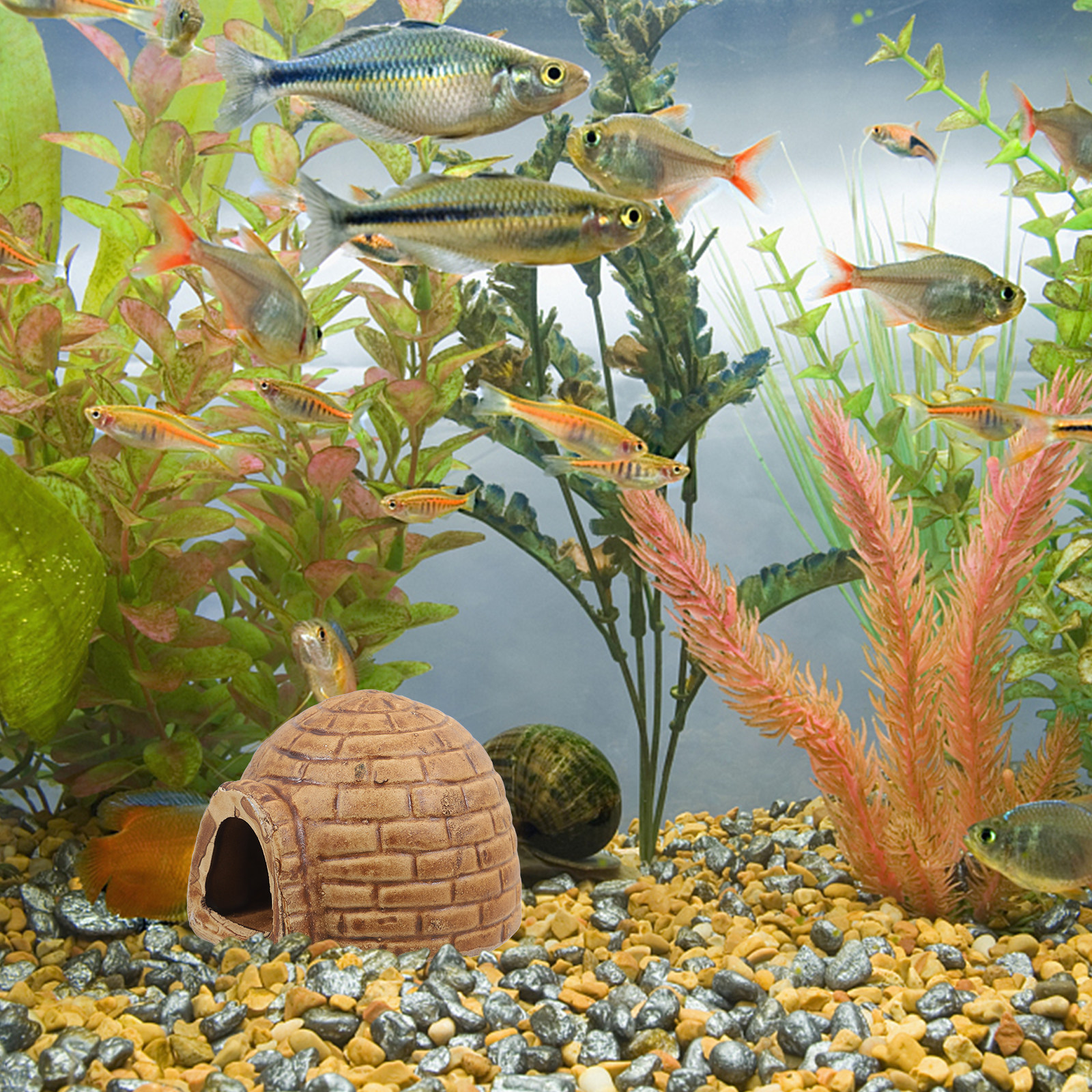 Ceramic Pleco Caves for Aquari - Hide Cave Ceramic ulasan dan harga