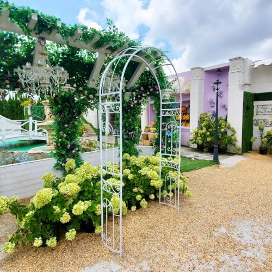 White metal wedding arch for g - Vine Climbing Plastic ulasan dan harga