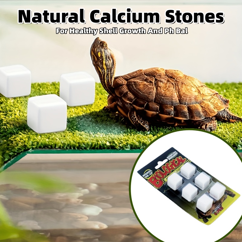 6 Pcs Fish Tank Calcium Block  - Calcium Powder Reptile ulasan dan harga