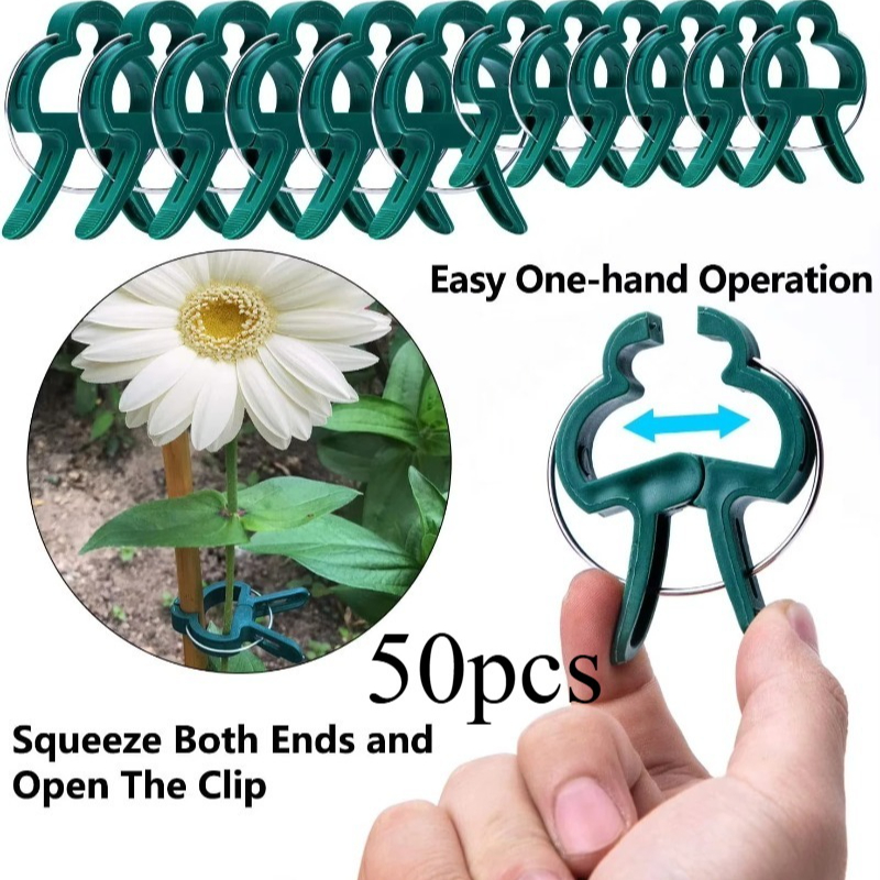 50 Reusable Plant Fixed Clips, - Vine Climbing Plastic ulasan dan harga