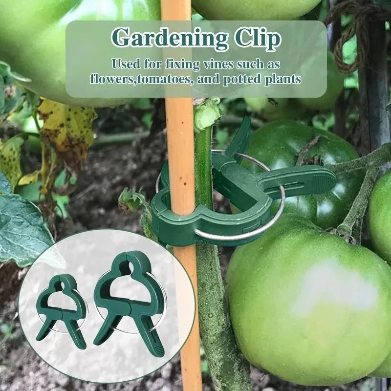 50 Reusable Plant Fixed Clips, - Vine Climbing Plastic ulasan dan harga