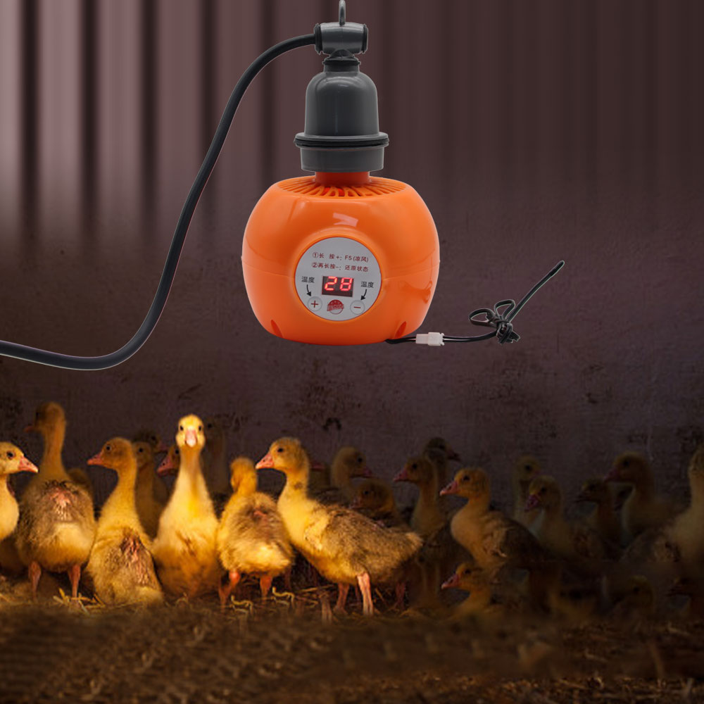 Pet Heater Animal Heating Lamp - Ceramic Heat Emitter ulasan dan harga