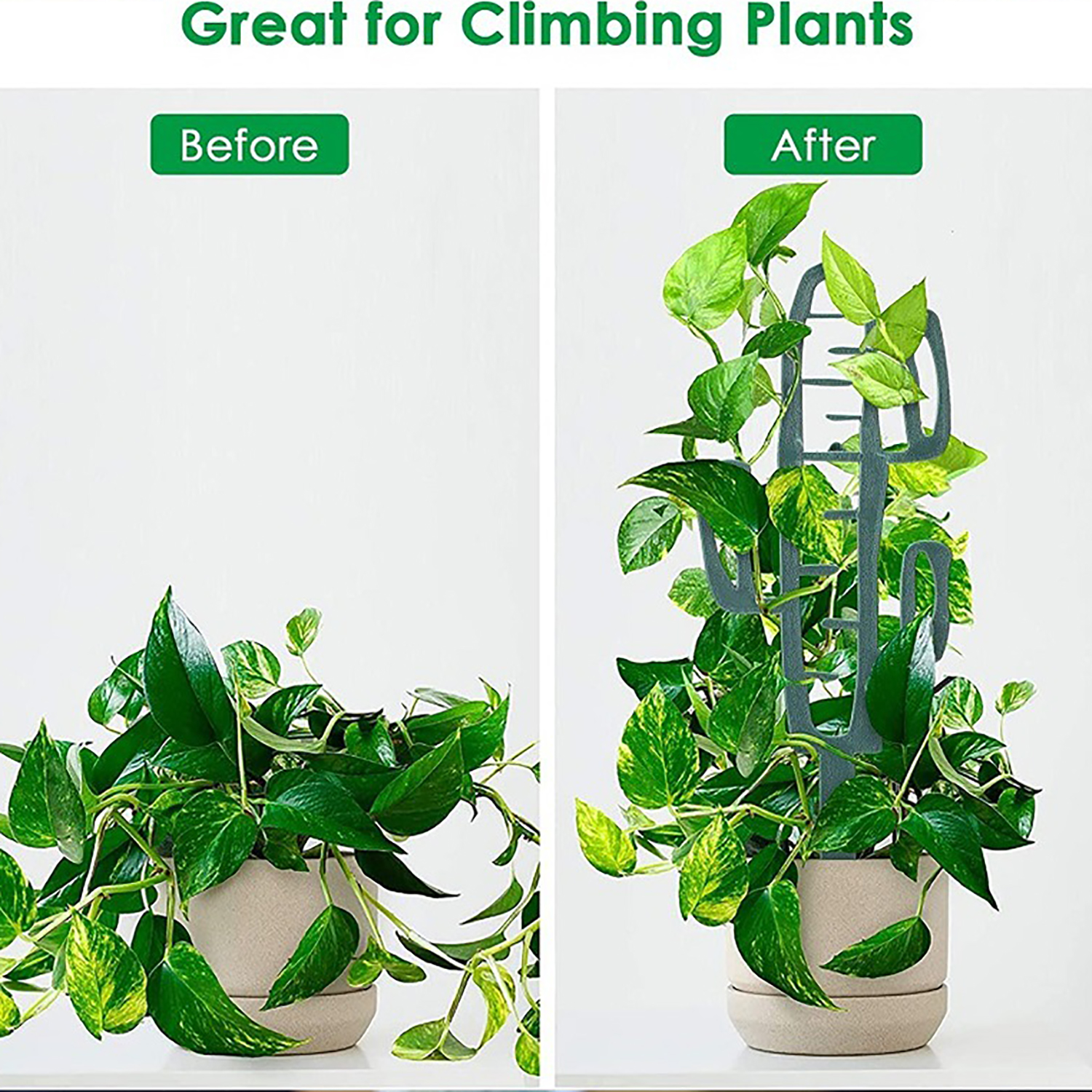 Plant Climbing Support Stand F - Vine Climbing Plastic ulasan dan harga