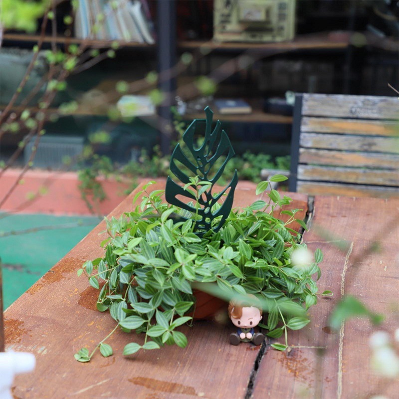 Plant Climbing Support Stand F - Vine Climbing Plastic ulasan dan harga