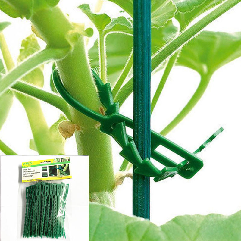 13cm Adjustable Plastic Plant  - Vine Climbing Plastic ulasan dan harga